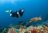 diver at Similan Islands
