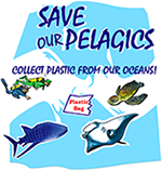 raccogliere plastica dai nostri oceani