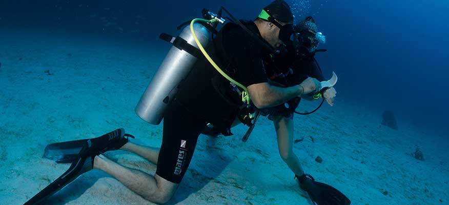 communication on slate underwater