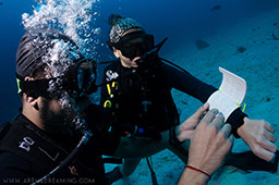making notes underwater
