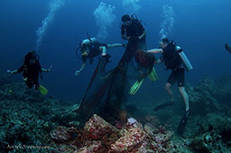 removing fish net from the reef