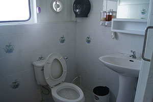 view of the bathroom/toilet